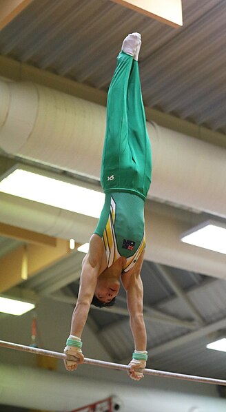 File:2019-11-30 OHC Liberec 2019 MAG Apparatus finals Horizontal bar (Martin Rulsch) 033.jpg