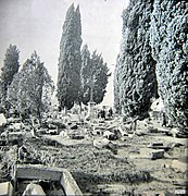 Le cimetière de Couthures dévasté par la crue de la Garonne de 1930.