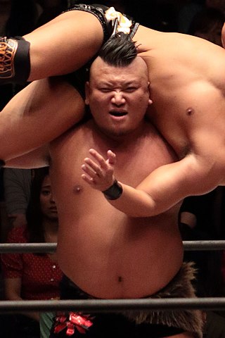 <span class="mw-page-title-main">Kumaarashi</span> Japanese professional wrestler