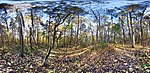 360 graders panorama taget vid kronparken naturreservat. Visa som 360 panorama