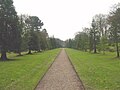 Biddulph Grange: Wellingtonia Walk, looking towards Great Vase Court: the way to infinity ...