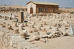 Abu Mena Ancient Monastery 05.JPG