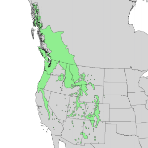 Acer glabrum range map 1.png