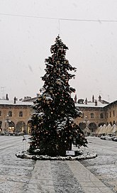 Albero di Natale in Piazza Ducale con neve - Vigevano.jpg