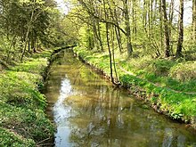 Allerkanal im Barnbruch