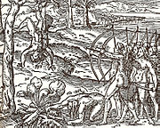 Amazônes, 1557