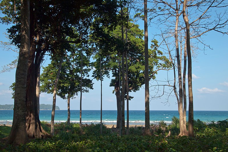 File:Andaman Islands, Neil, Tropical beach.jpg