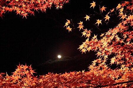 Tập tin:Arashiyama Hanatōro, Nison-in 嵐山花灯路・二尊院 紅葉と月 DSCF5361.JPG