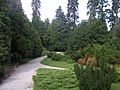 Arboretum Vinica (9).JPG