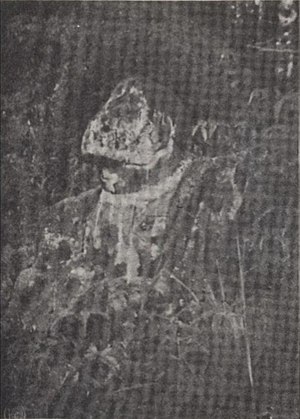 Arca Batu di Tinggihari, Lahat, Amerta- Berkala Arkeologi 3, hal. 31.jpg