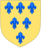 Blason