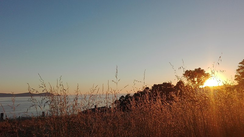 File:Atardecer ría Pontevedra.jpg