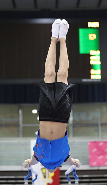 File:Austrian Future Cup 2018-11-23 Training Afternoon Parallel bars (Martin Rulsch) 0528.jpg