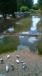 Rio Aguisejo a su paso por Ayllón (Segovia-España)