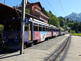 Een trein op het perron van het station van Caux.