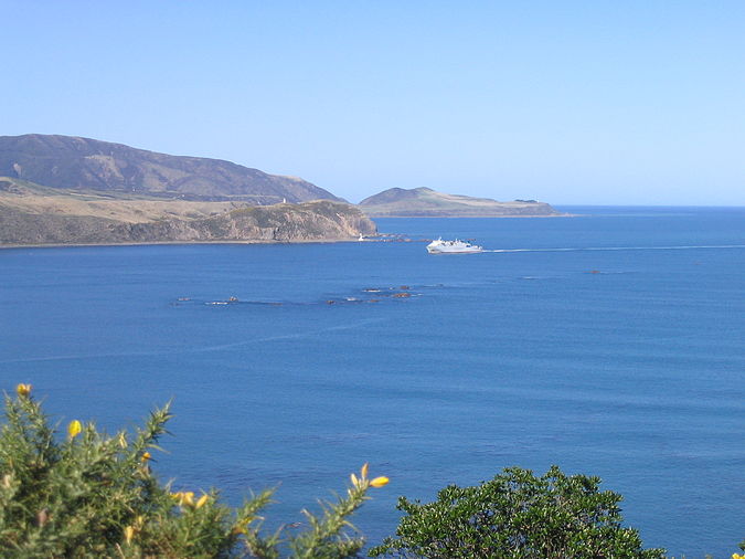 Wellington Harbour entrance showing Barrett Reef Barrett Reef.jpg