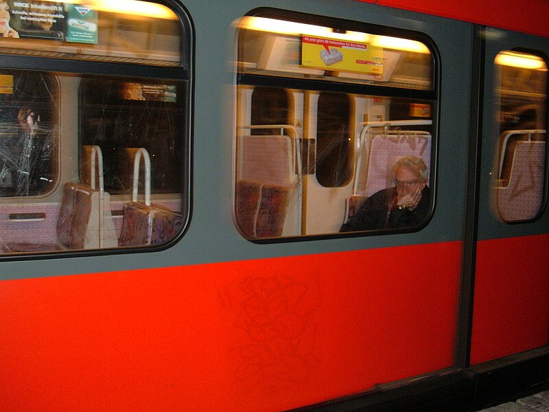 File:Berlin S-Bahn train passing through station.JPG