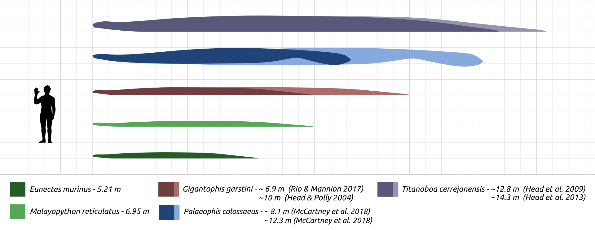 1920px-Biggest_snakes_comparison_chart.svg.png