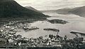 Bird's-eye view of town and harbor of Wrangell, Alaska, ca 1897 (LAROCHE 163).jpeg