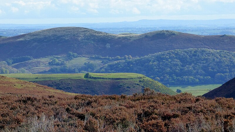 File:Bodbury Ring Hillfort (geograph 7383352).jpg