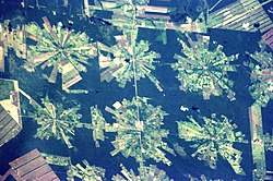 Satellite photograph of industrial-scale skyline logging in the Tierras Bajas project in eastern Bolivia, showing deforestation and its later associated replacement by agriculture Bolivia-Deforestation-EO.JPG