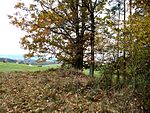 Boršov nad Vltavou, Jamné, tumulus (02).jpg