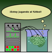 Una imagen un tanto humorística acerca de un cerebro en una cubeta. (fuente (es))