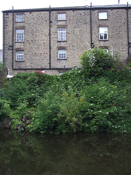 File:Bridge 102, Moor Lane, Lancaster Canal 6900.JPG