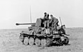 Marder II, « martre », sur châssis de Panzer II.