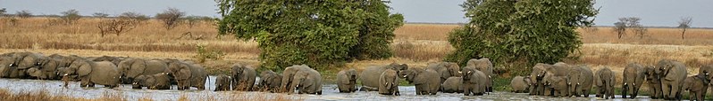 File:Cameroon National Parks banners.jpg