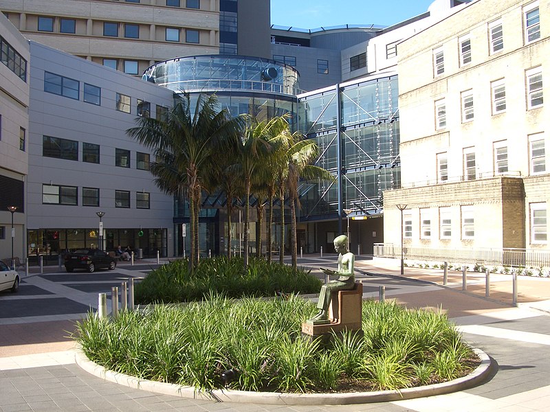 File:Camperdown Royal Prince Alfred Hospital 3.JPG