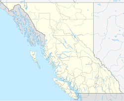 Bob Quinn Lake Airport (British Columbia)