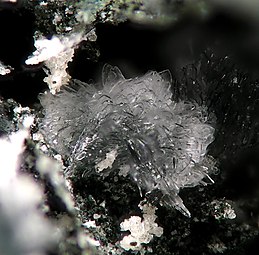 Carlhintzeite-141165.jpg