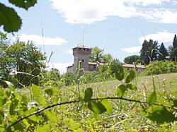 Castelul Frascarolo, Induno Olona