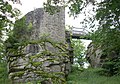 image=http://commons.wikimedia.org/wiki/File:Castle_Schellenberg.jpg