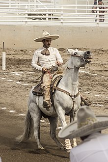 Charro at the charreria event at the San Marcos National Fair in Aguascalientes City Charros 2.jpg