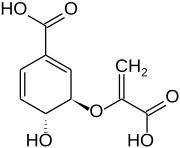 Structuurformule van chorisminezuur