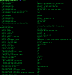 Captura de pantalla del programa OpenCL