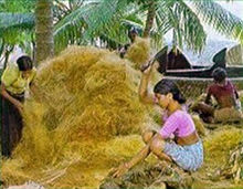 Coir - Wikipedia