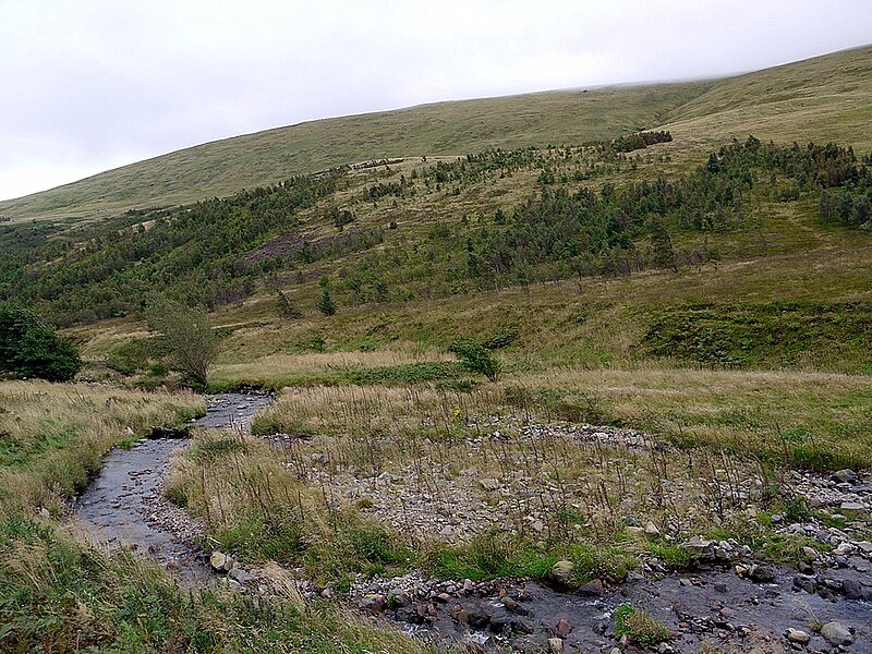 File:College Burn - geograph.org.uk - 3129566.jpg