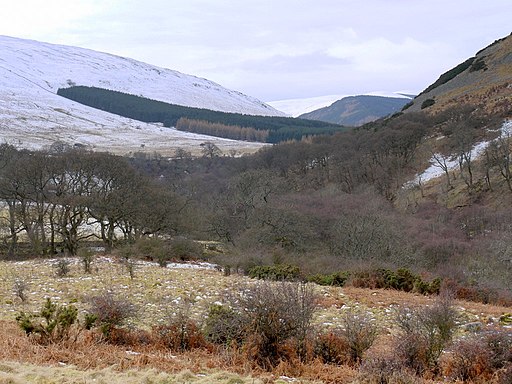 College Valley - geograph.org.uk - 1738306