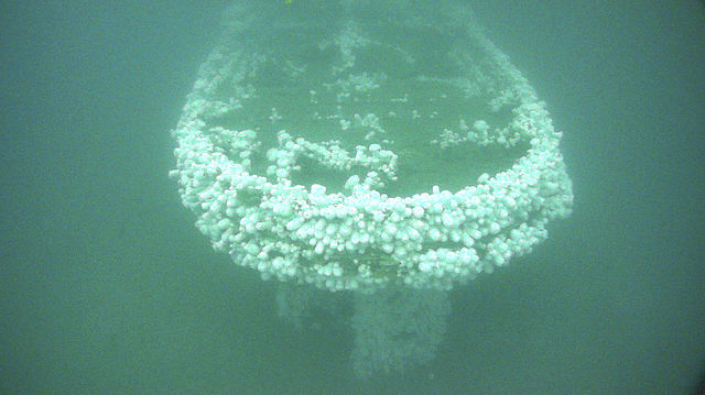 Wreck of the USS Conestoga