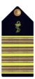 Coronel de Farmacia de la Armada.png