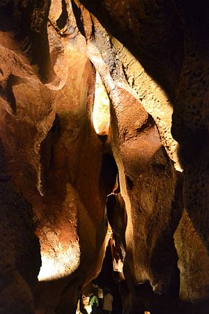 Coves o grutes de sant Josep, la Vall d'Uixó.JPG