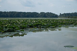 <span class="mw-page-title-main">Crab Orchard National Wildlife Refuge</span>