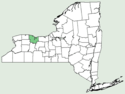 Cucumis anguria NY-dist-map.png