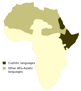 Cushitic languages language family native to East Africa