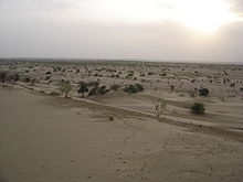 Désert du Rajasthan.jpg