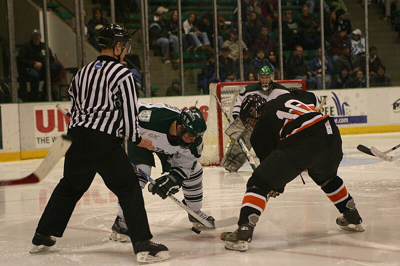 File:Dartmouth vs Princeton ice hockey 1, 2007.jpg