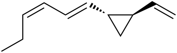 Dictyopterene B.png